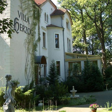 Hotel Villa Herzog Dresde Extérieur photo