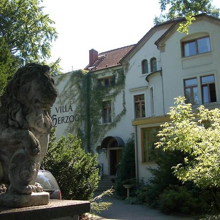 Hotel Villa Herzog Dresde Extérieur photo