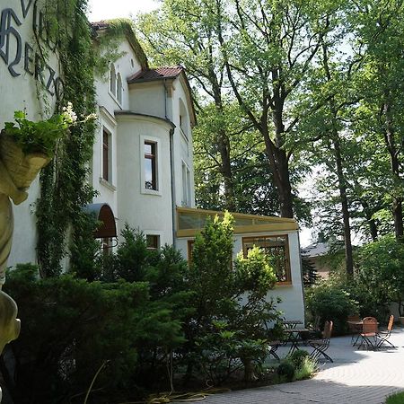Hotel Villa Herzog Dresde Extérieur photo