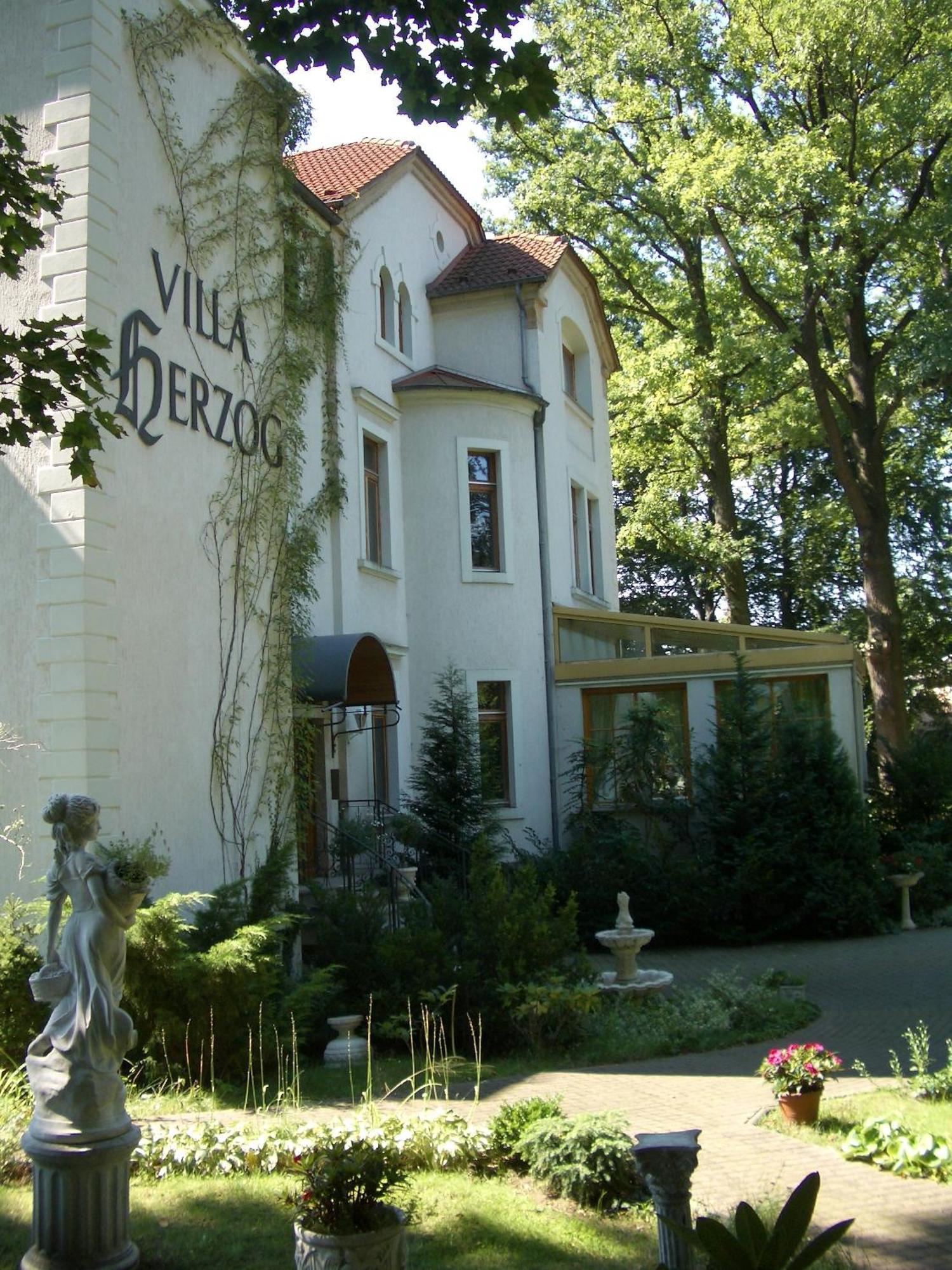 Hotel Villa Herzog Dresde Extérieur photo