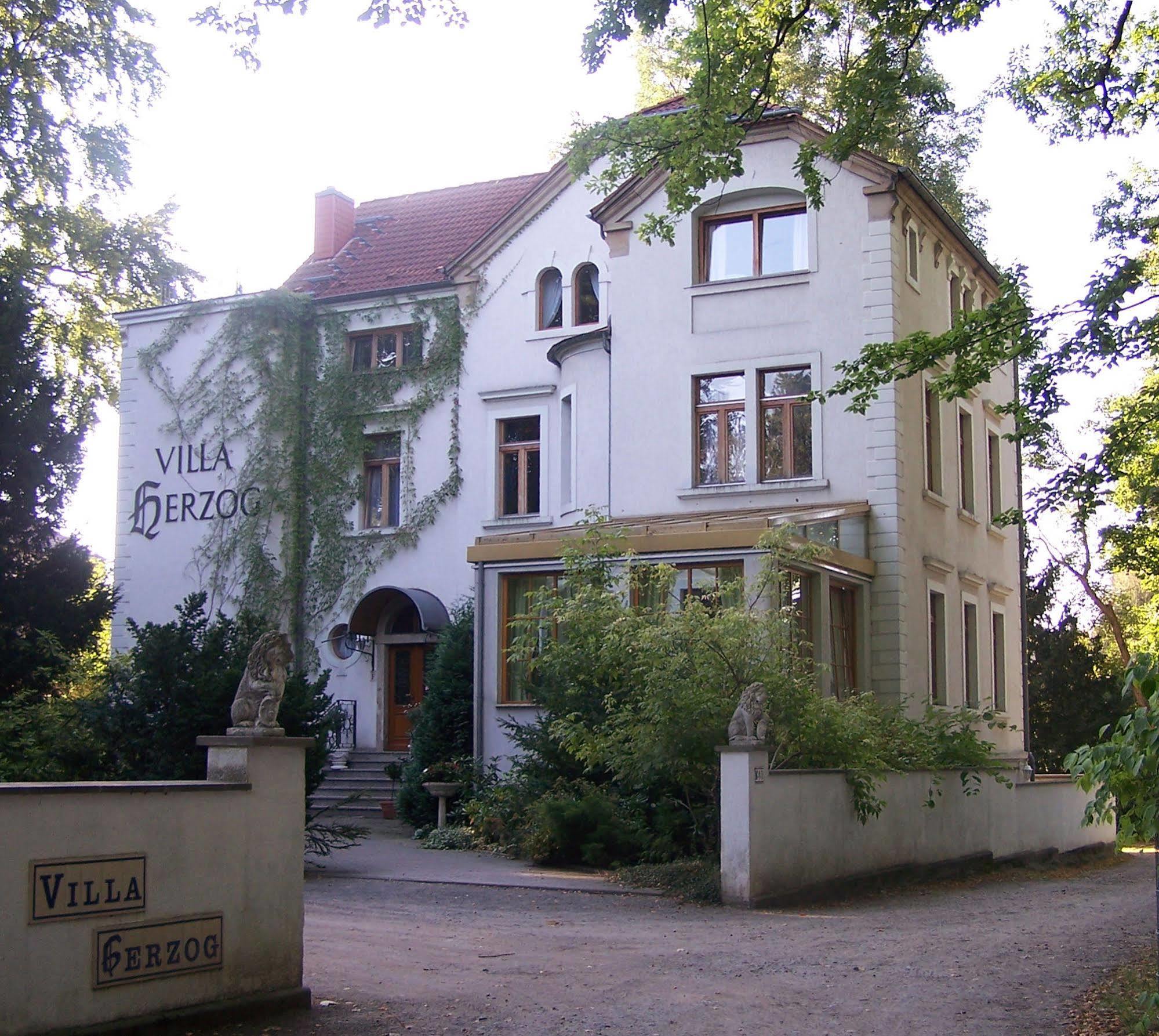 Hotel Villa Herzog Dresde Extérieur photo